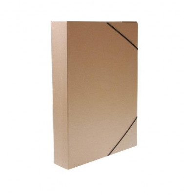 Κουτί με λάστιχα - Αρχειοθήκη οικολογικό χαρτόνι  25x35 x  5 εκ. ράχη 