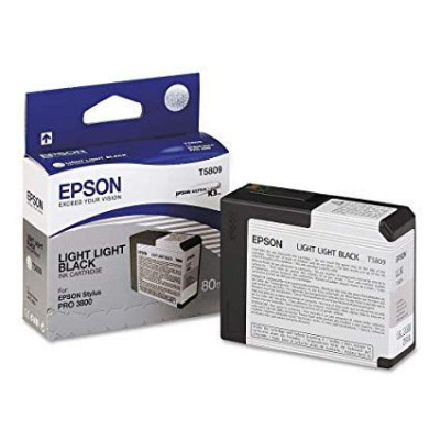 Epson Inkjet Cartridge T5809 Light Light Black